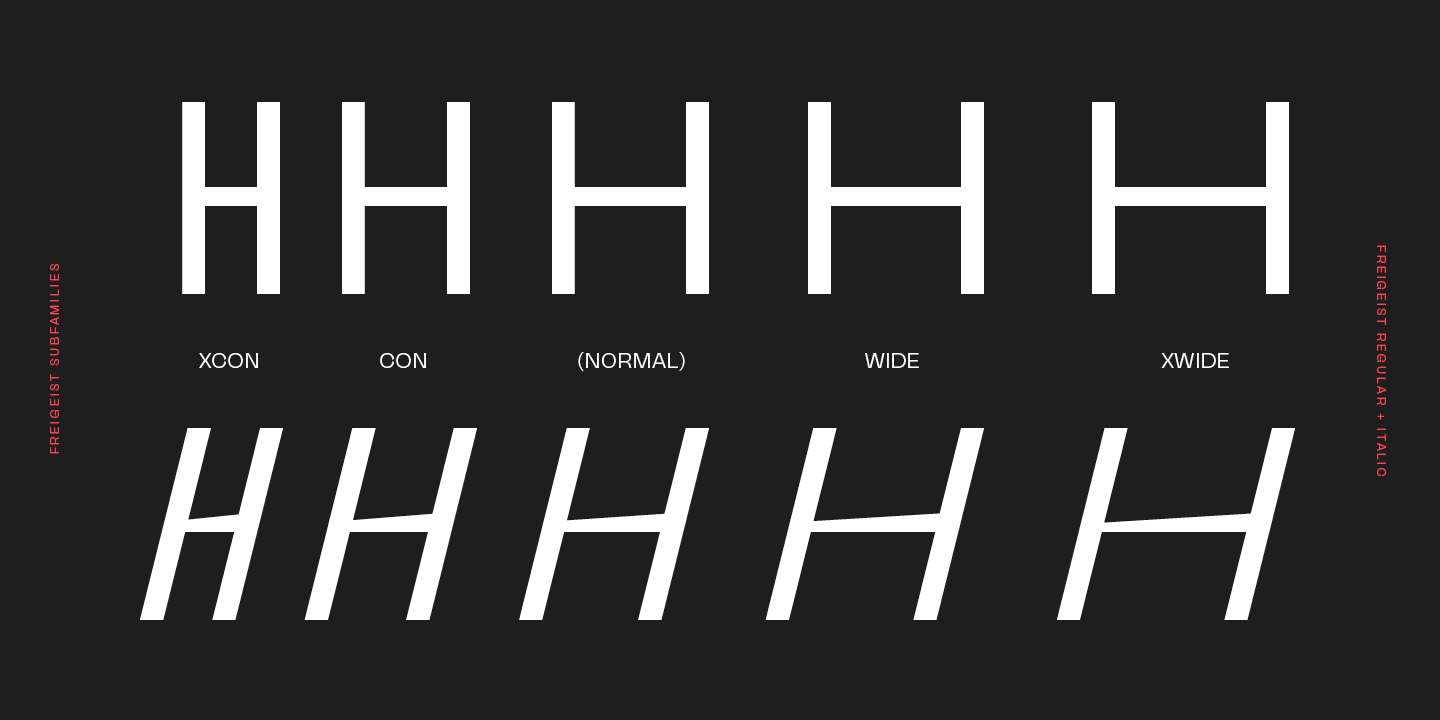 Przykład czcionki Freigeist Thin Italic